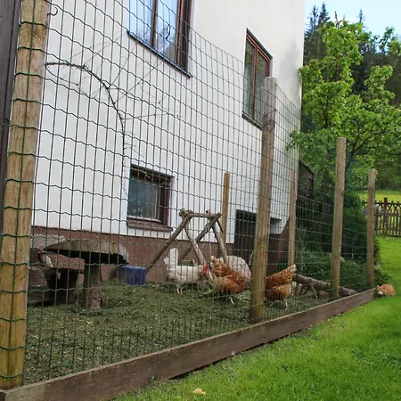 Frieda's Platzl 압티나우