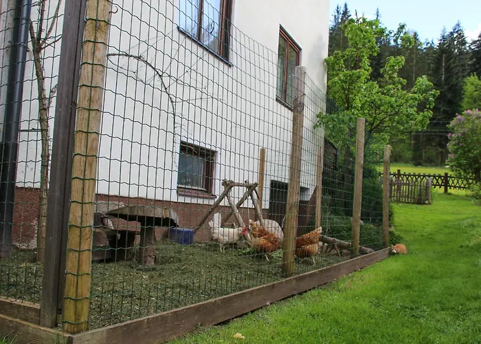 Frieda's Platzl Abtenau